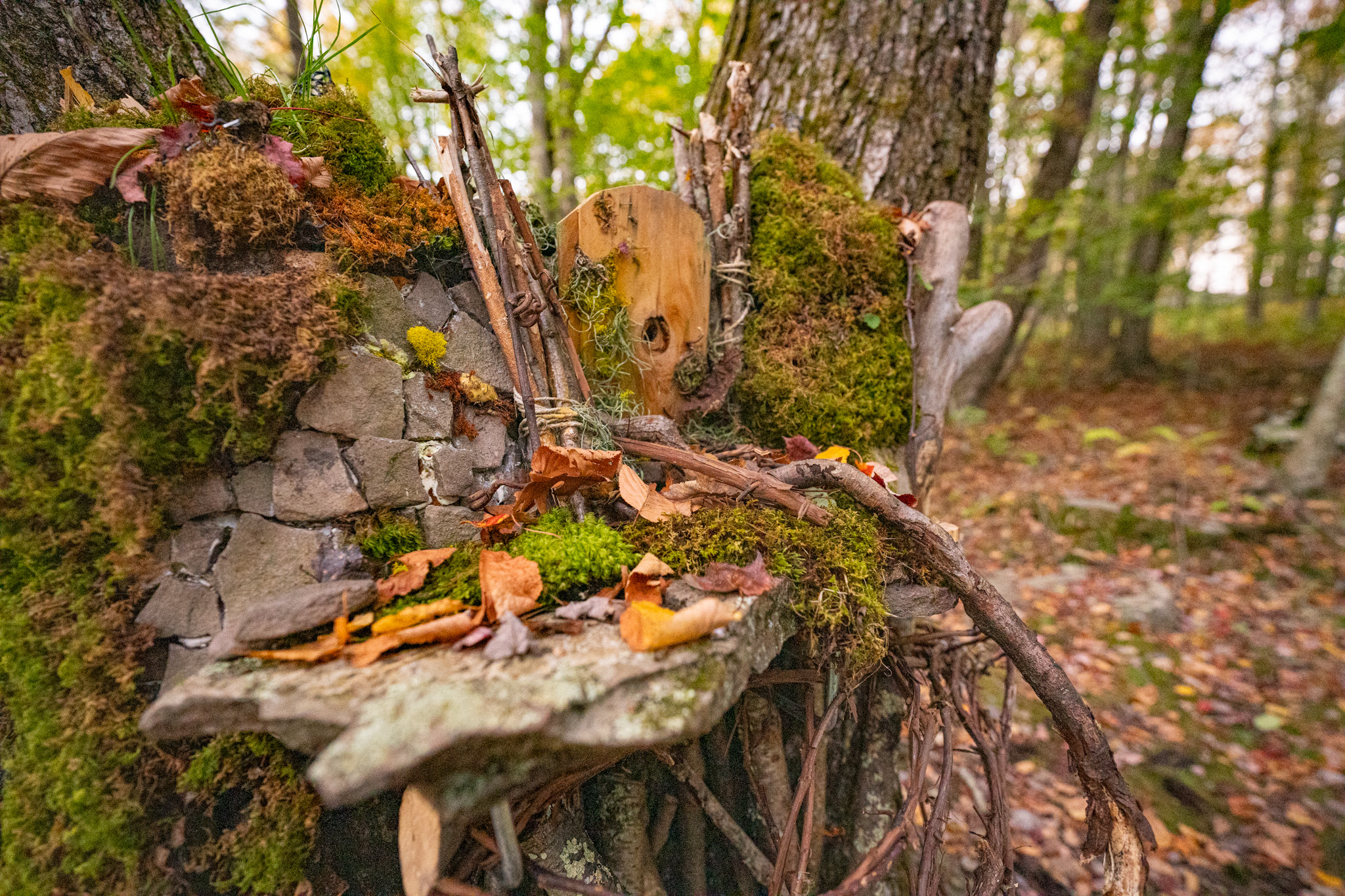 Hilltop Enchanted Trails — the Enchanted Forest archway at the trailhead
