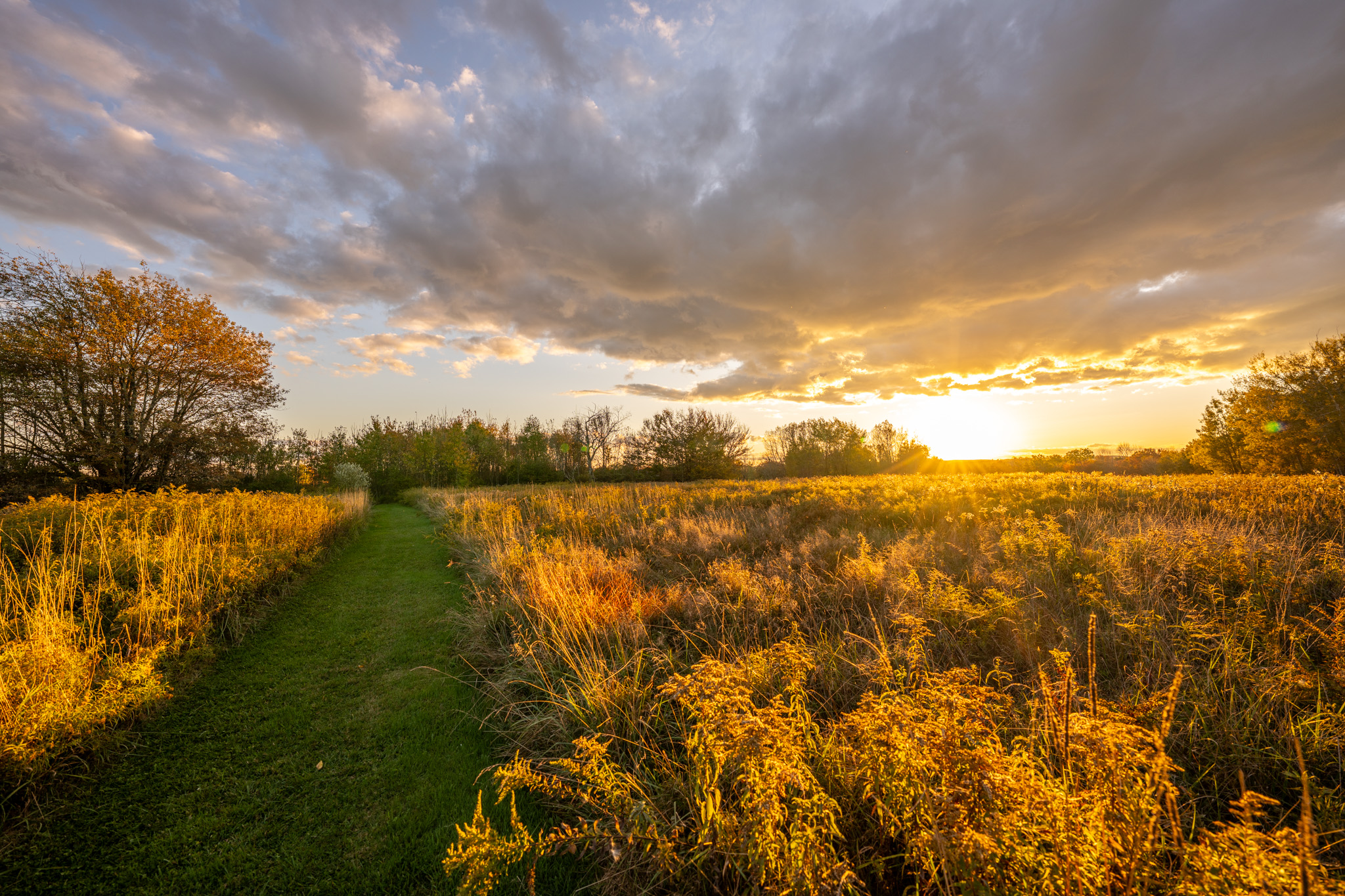 Hilltop Enchanted Trails — picnic area on the red arrow loop