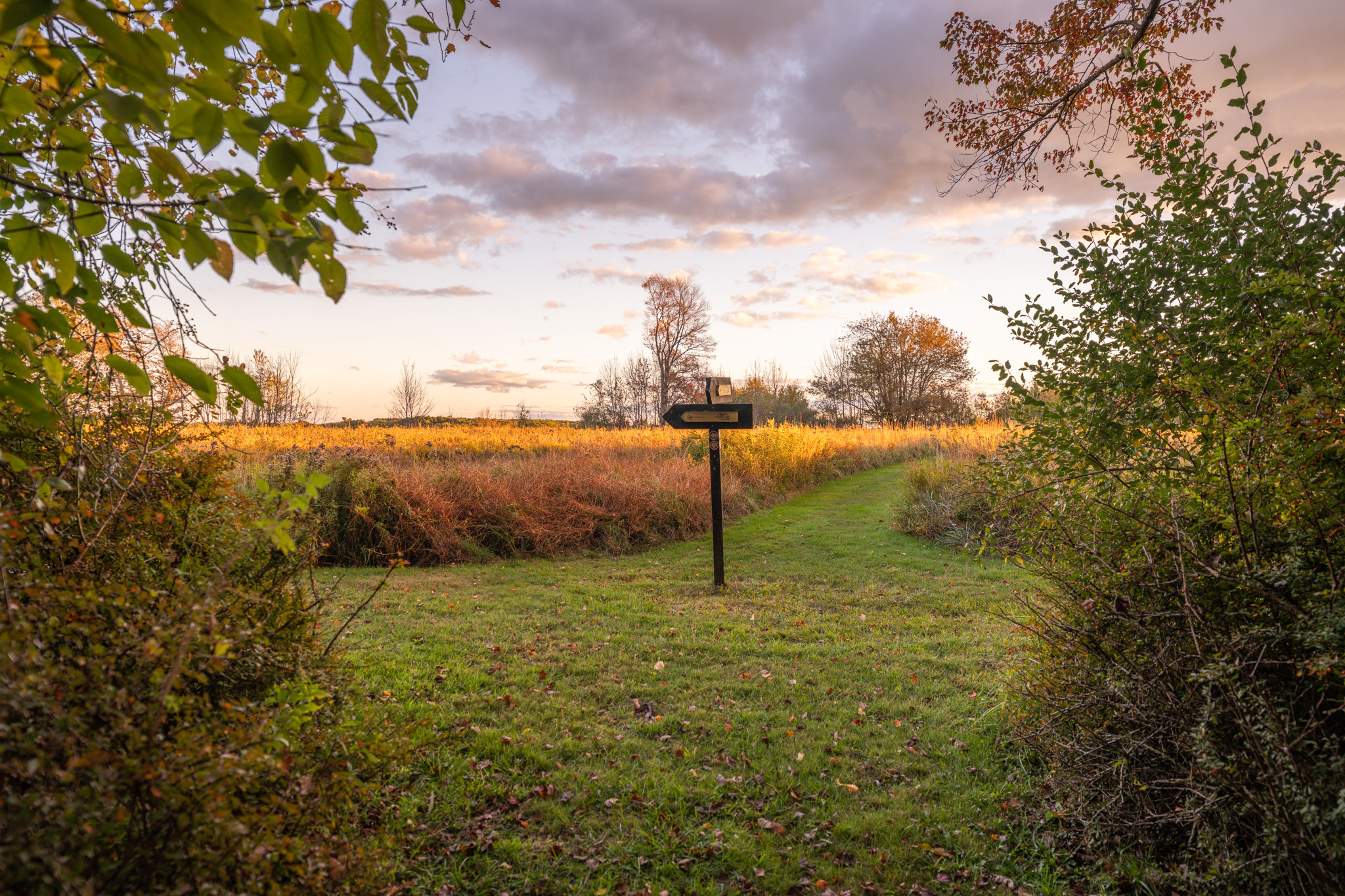 Hilltop Enchanted Trails — quiet groomed path through the Pocono woods